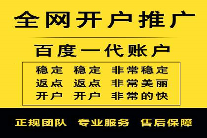 竞价广告端口开户的典型案例剖析